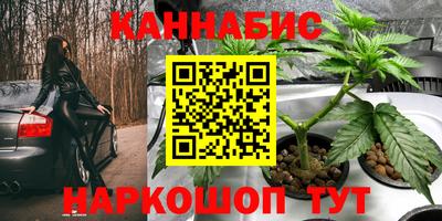 гидропоника Славгород